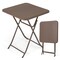 Coffee Foldable Outdoor Picnic Table with Weather-Resistant HDPE Surface and Sturdy Iron Frame